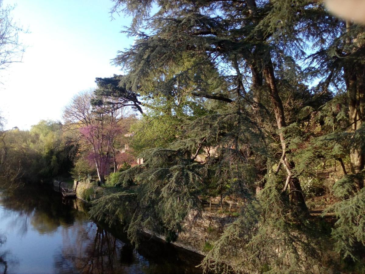 Les Cedres Bed and Breakfast Montaigu-Vendee Εξωτερικό φωτογραφία